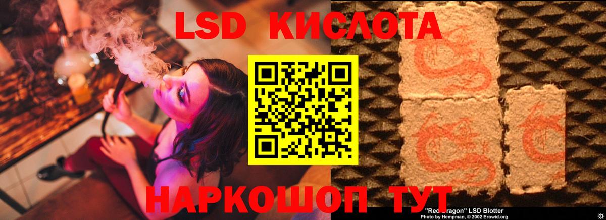 ЛСД экстази кислота  LSD-25 экстази кислота  Курчалой  Вход с VPN 