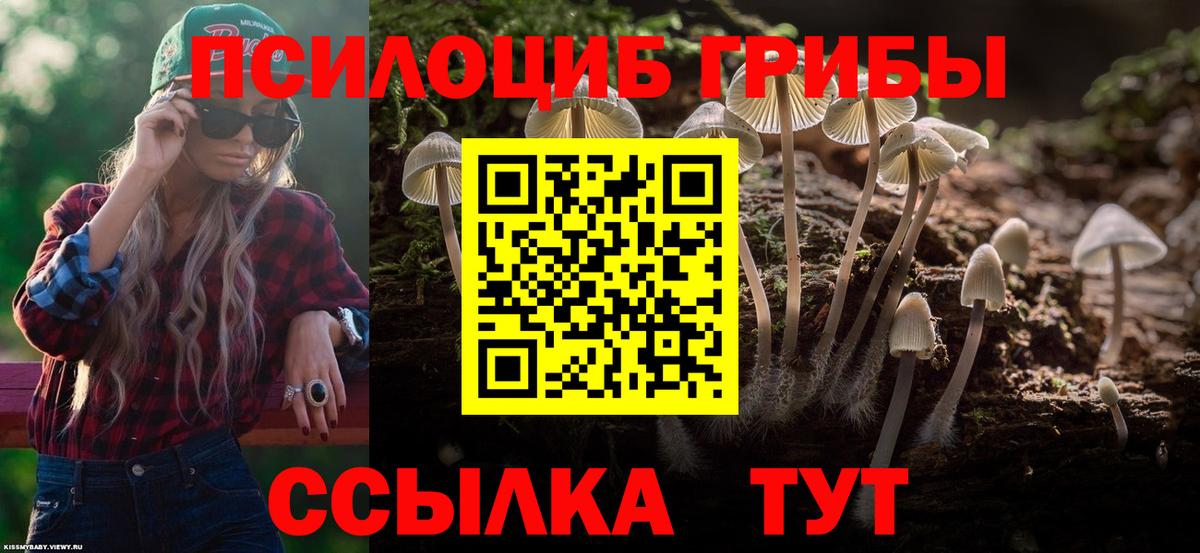 Курчалой  Псилоцибиновые грибы мицелий  Вход с VPN 